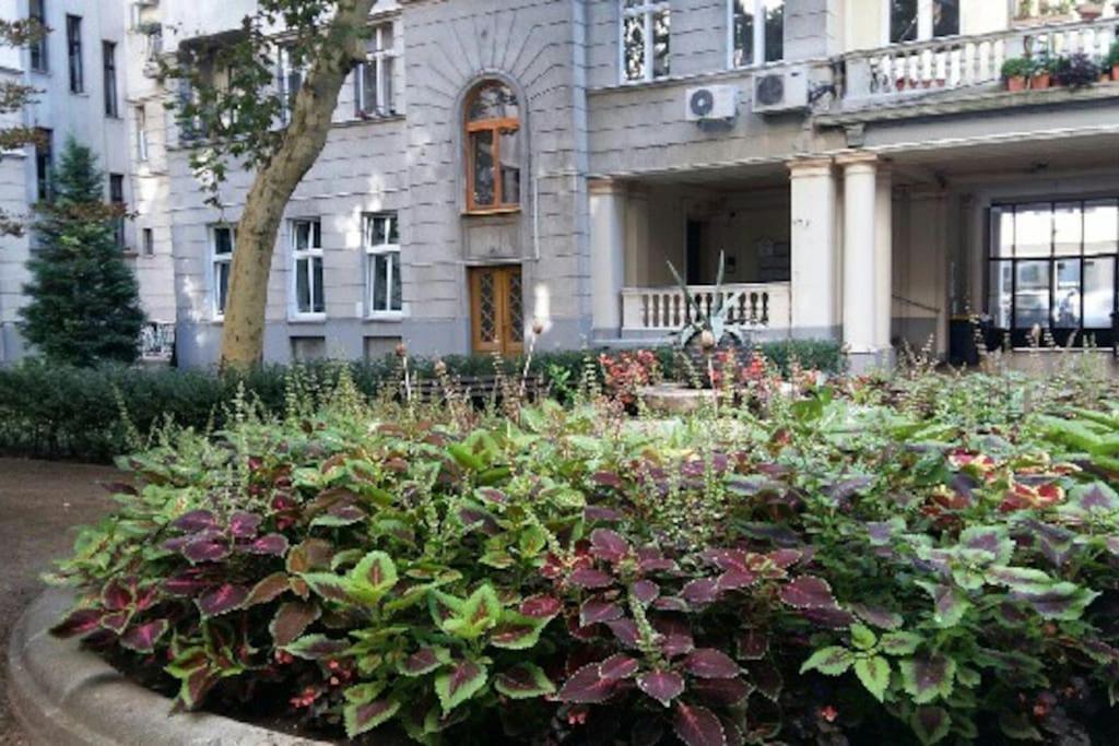 Gorgeous Flat Right Near The City Center Boedapest Buitenkant foto